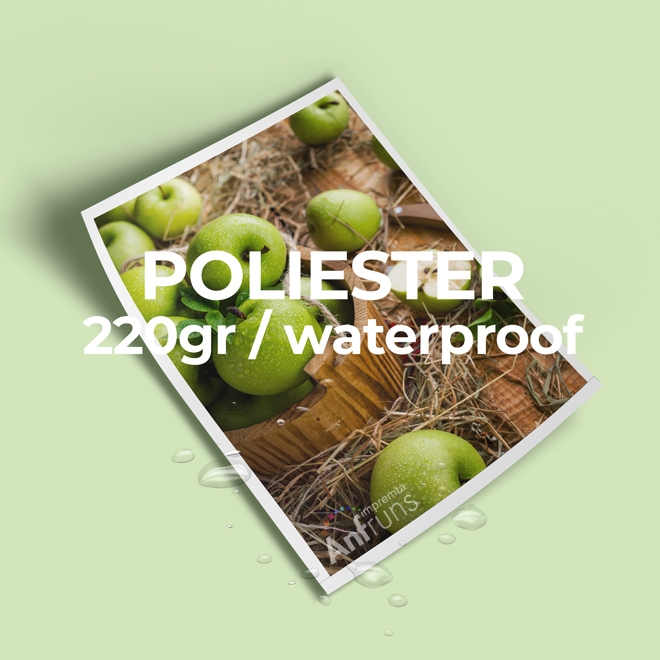 POLIÉSTER A4 220GR / Impremta Anfruns